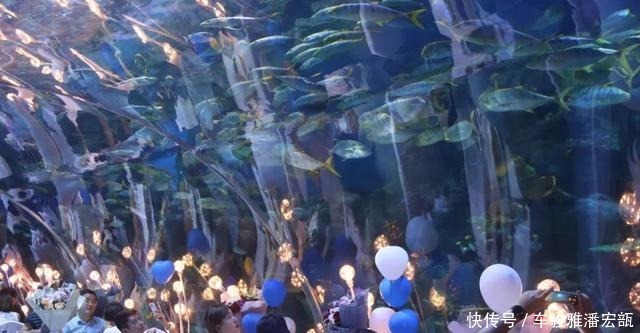 华夏文旅海|每年这一天,浪漫都溢出了海洋公园!