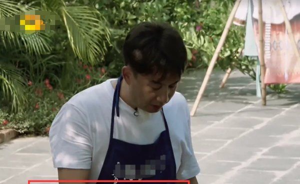  黄磊|《向往的生活》最金贵的嘉宾, 黄磊不敢让她干活, 因为赔不起!