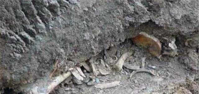  水泥地|1963年一女会计携巨款失踪，再次出现时，她已在水泥地里睡了21年