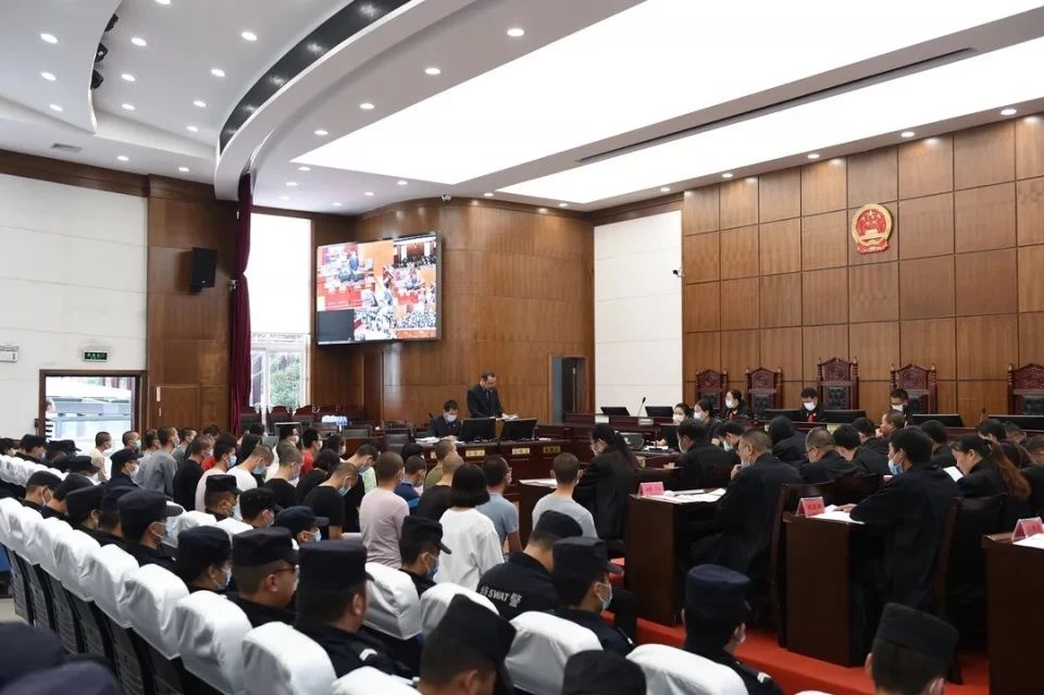 犯组织领导传销活动|乔建林等31人涉恶案判了!最高16年!