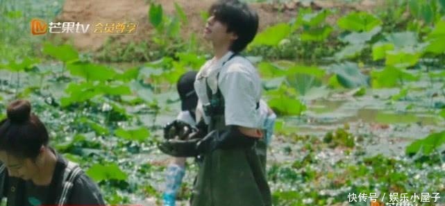 播片|《向往的生活》未播片段长达一小时,宋威龙摸河蚌,汪苏泷又偷懒