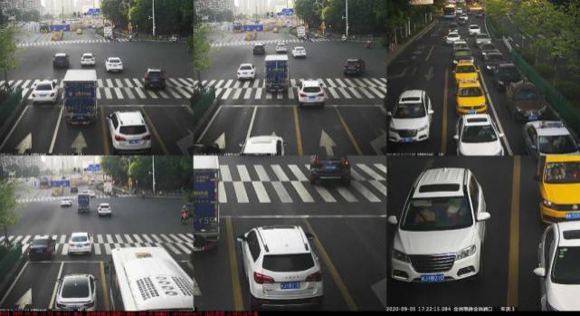 占用公交|闽AV256F、闽ASH677……一大批闽A车被曝光！