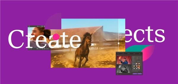  数字|万兴科技惊到视频用户：2020上半年干得漂亮，数字创意业务同比增长78%！