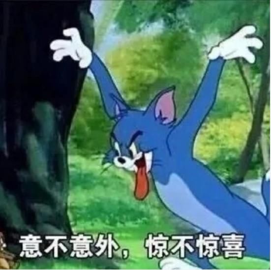  小编|相对于NPC、UNINE、R1SE哪个团实力会更抗打