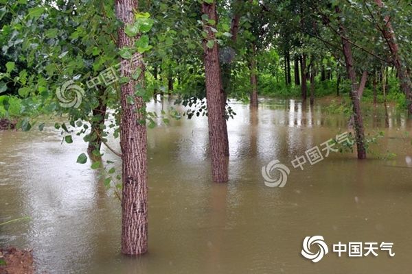 高温|四川盆地等地暴雨来袭 华南江南高温“顽固”