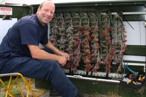  价值|英国三名男子装扮成工程师，偷走电信宽带盒价值千万电池，被判刑