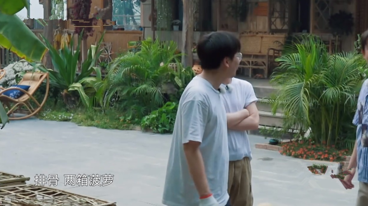  何老师|一只鸡要十捆香蕉！黄磊拿板砖“威胁”导演，周迅调侃彭彭太自恋