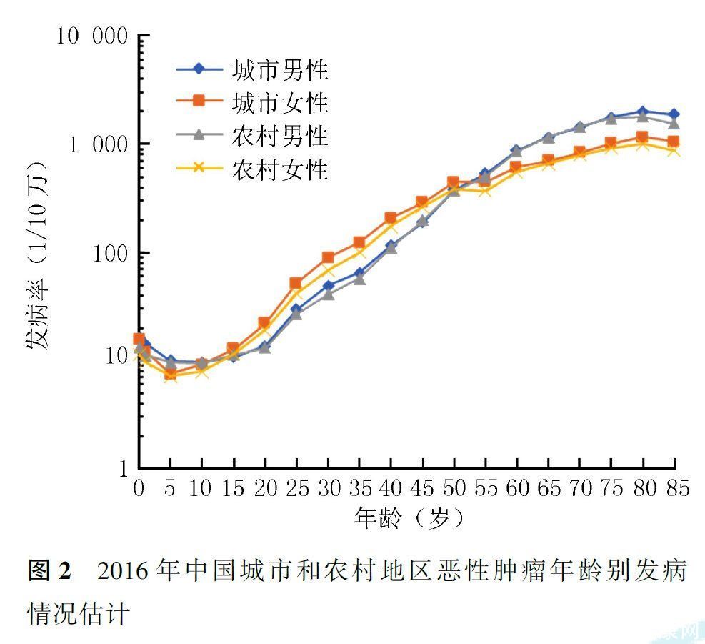2020年世卫组织公布最长寿的秘诀(世卫组织：日本人不运动，却最健康长寿！原因值得中国人学习)