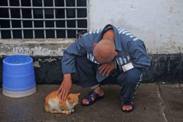 被判|那些被判无期徒刑的犯人,年迈后还要继续劳动吗?真相令人很心酸