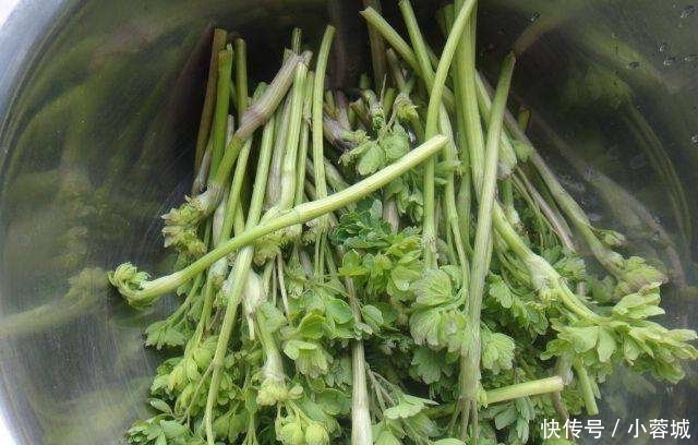 东北特|东北排名前7的野味,你吃过几种?第5位名气最大
