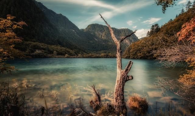 星座|最不为情所困,活得不平庸的三大星座。常常为爱痴狂,却独立自主