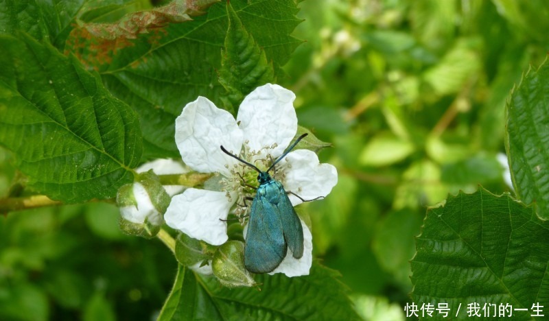  喜事|8月这四星座运势翻转、喜事降临、好运渐至、诸事顺利！