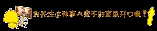 组合|《中餐厅》官宣第四季,神秘顶流加盟,还有林大厨张亮双厨组合