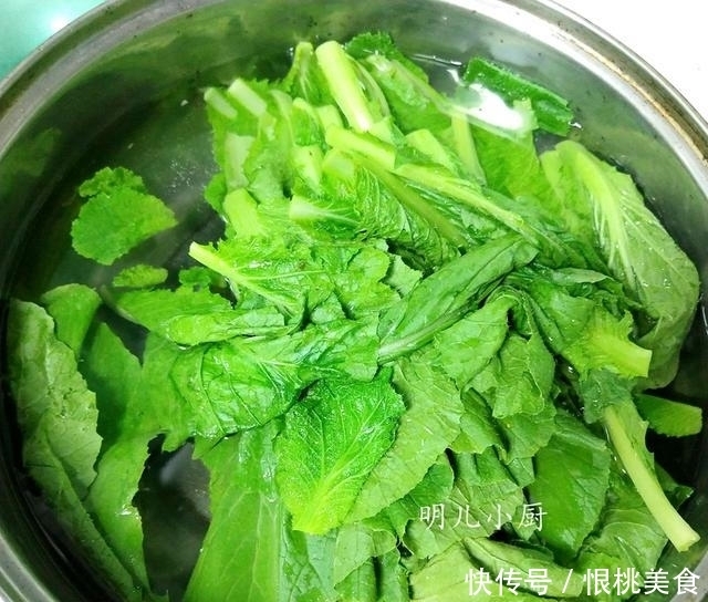 大白菜|这菜的营养远高于大白菜,掌握这2步,翠绿鲜嫩不发黄,补钙超棒