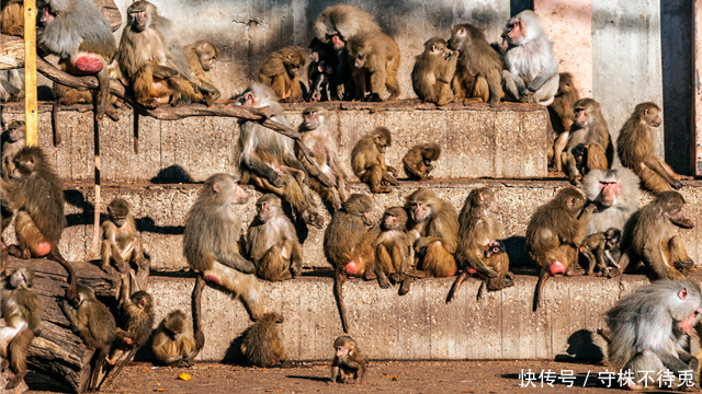看过|24个冷知识:真实存在于世界,或许看过多遍都不大相信