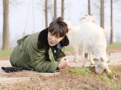  合体|退出极挑后，极限男人帮合体录制新节目，网友：有“内味儿”了！