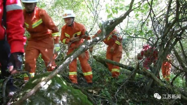  作文|为帮女儿找作文素材，一家三口进山被困一夜！娃爸：这下素材弄大了