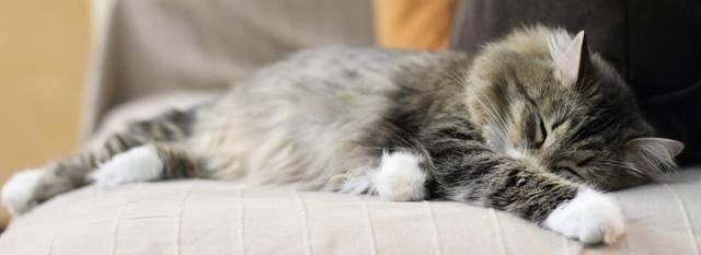  做饭|醋的10种妙用，经常做饭的你知道醋还能这么用吗，快来收藏吧！