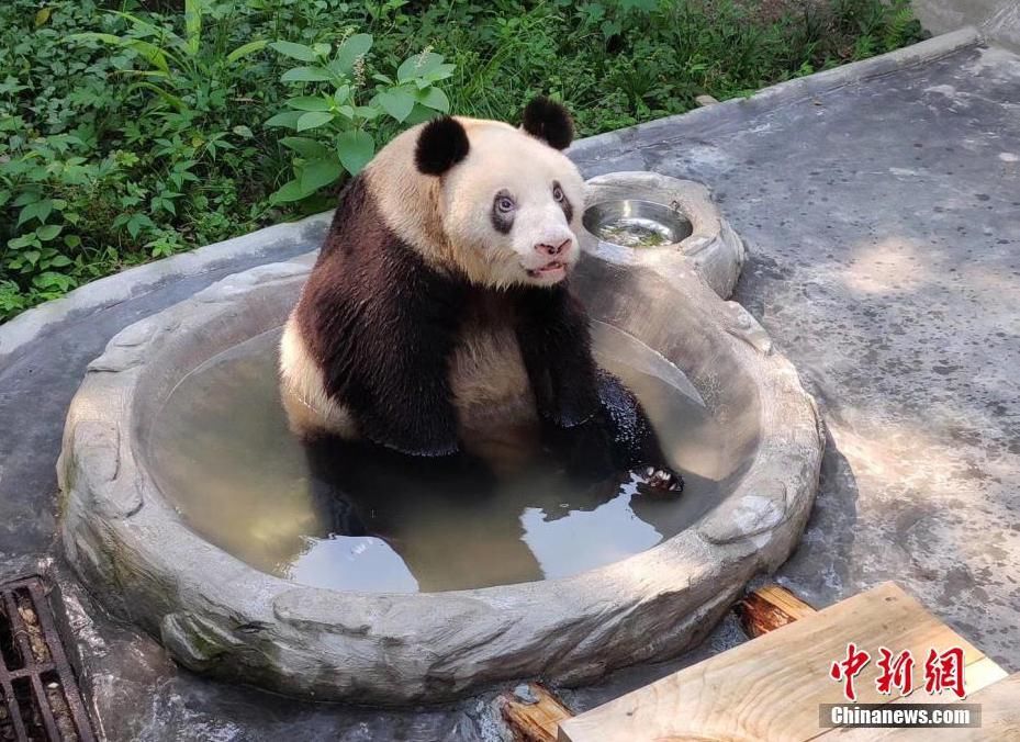 故事|出彩“滚滚” | 你有你的“三十而已”,我们的三十又是另一个故事~