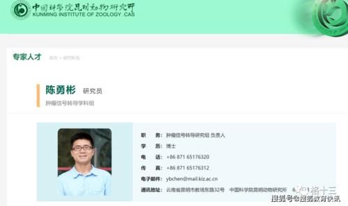  惹不起|惹不起的小学生，拼不起的爹