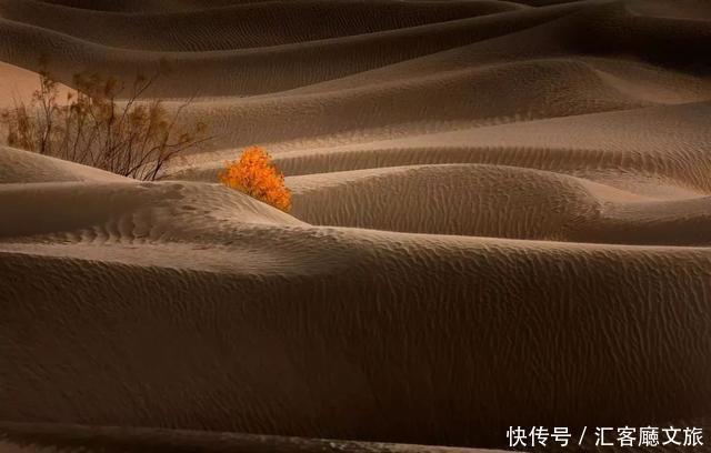 自驾|憋疯了!15条醉美新疆自驾线,正适合七八月挑一条出发!