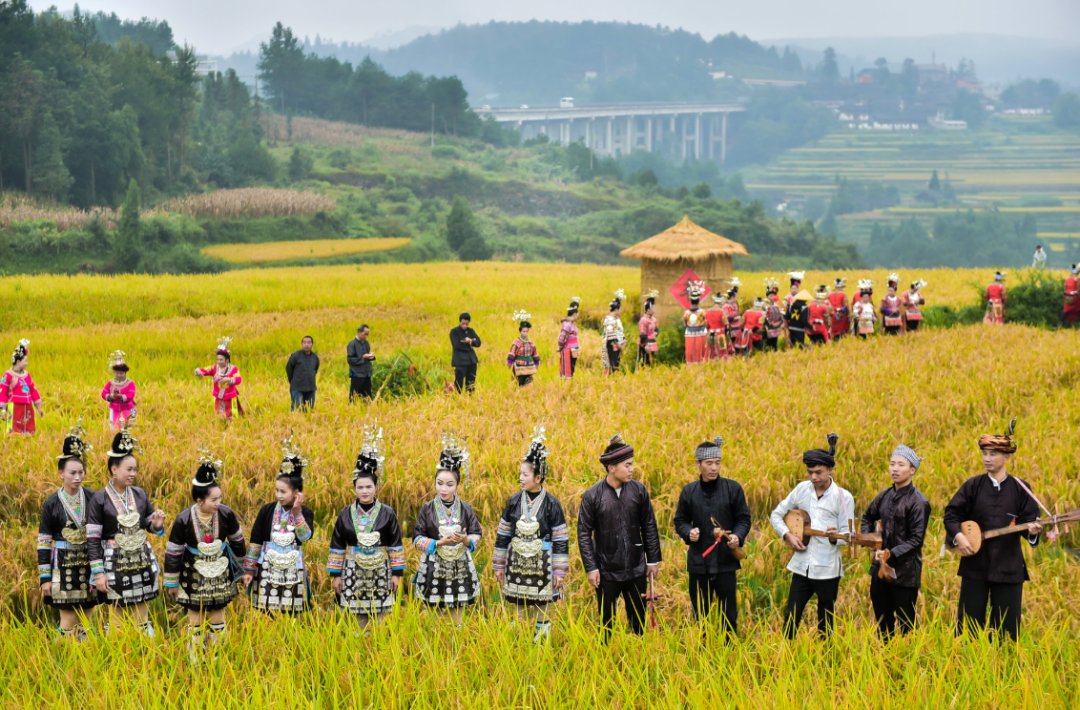 声音|假如丰收有声音，一定是这样婶儿的
