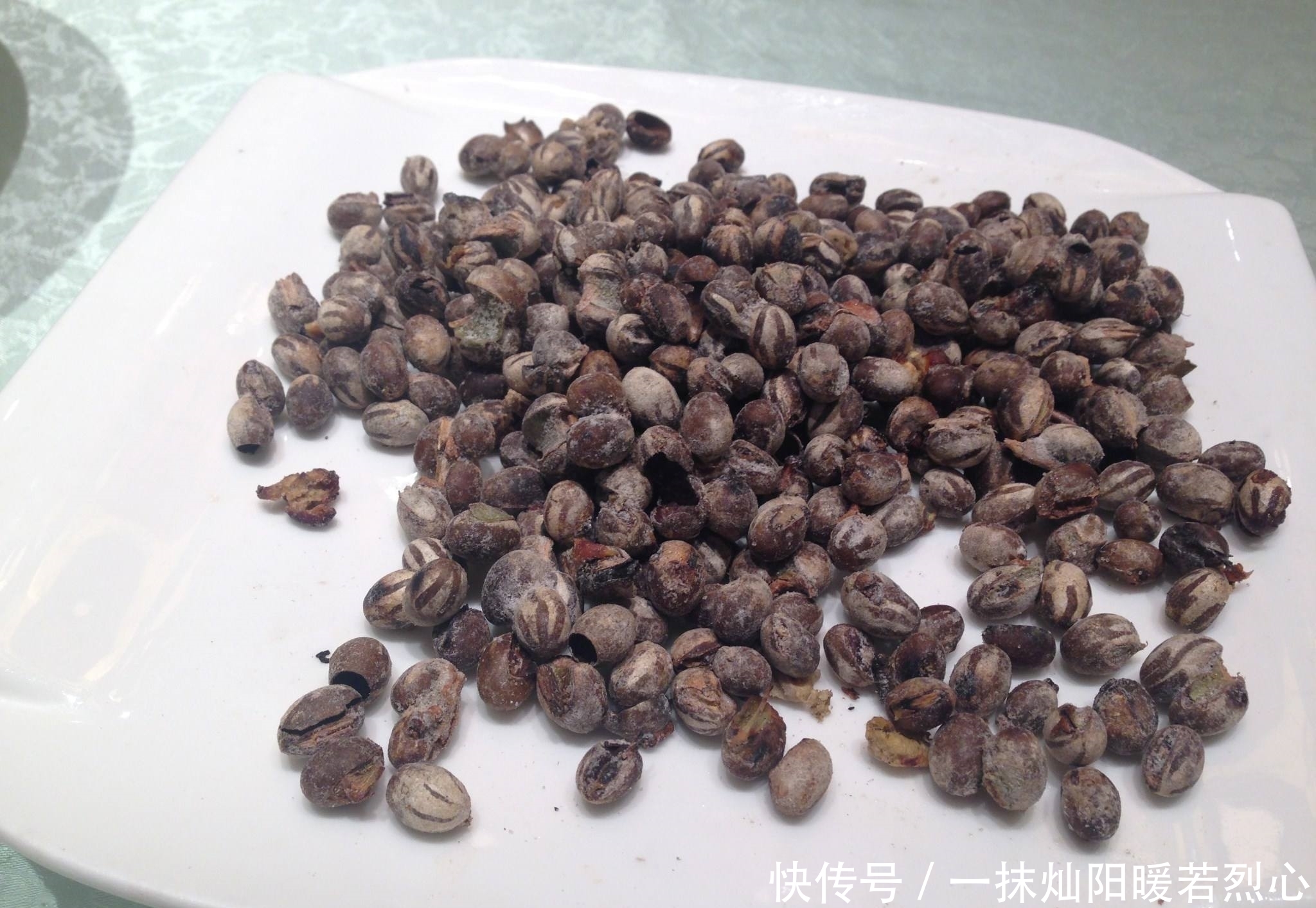 即可|将虫卵丢进火里烤,爆开后即可食用,100多块钱一斤你愿意吃吗?