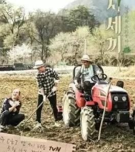  雷同|何炅好口碑遭质疑？主持新综又陷抄袭门，被指雷同日综段子都照搬