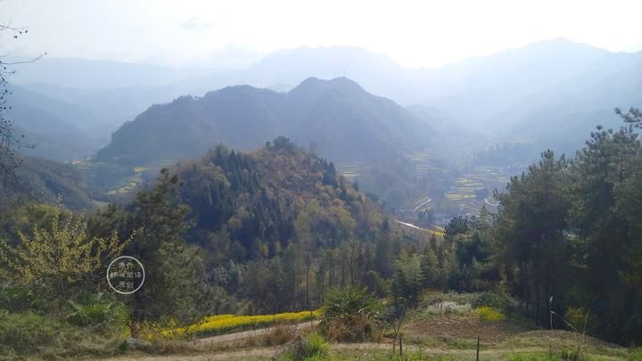  大雁|我们如同大雁，路过别人，也被别人路过