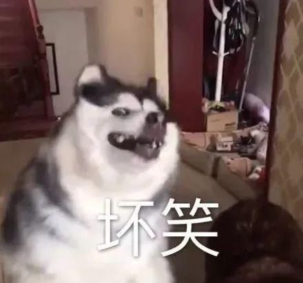 满屏|满屏都是行走的荷尔蒙，这群热血少年我太可了