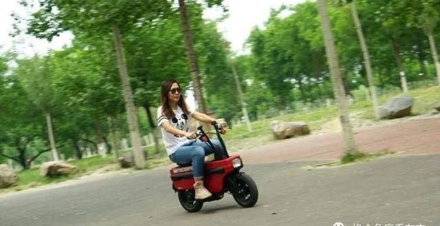 圆梦|圆梦:男人的大玩具-“本田小板凳儿”