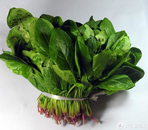 下锅|5元一斤,下锅还不够1人吃,烫火锅时少不了!