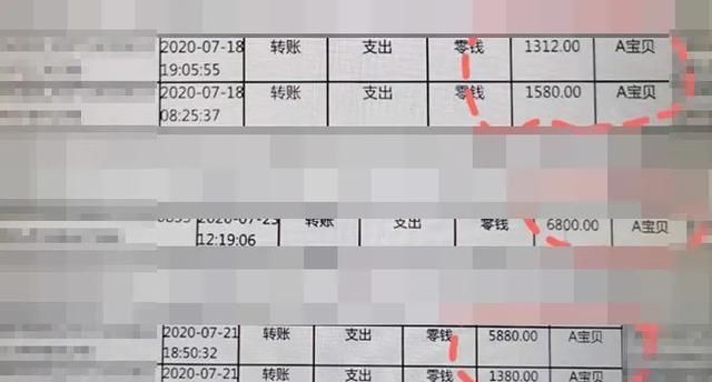  老爸|13岁“学霸”一个月偷刷老爸微信9万元，居然买了一堆草