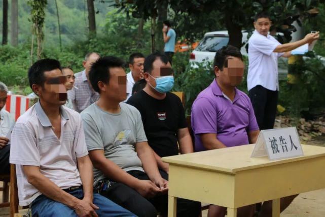  男子|禁渔期非法电鱼，西峡五男子获刑