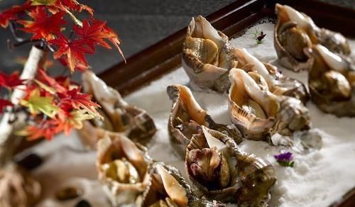 赶紧|海螺尾部的“黄”到底能不能吃好多人都不知道,赶紧看看吧!