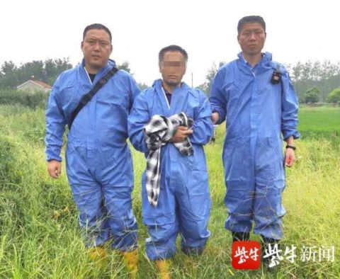 进驻|深夜，偏僻猪场内28头价值10万元的小种猪被盗，警方进驻一周“揪”出内鬼