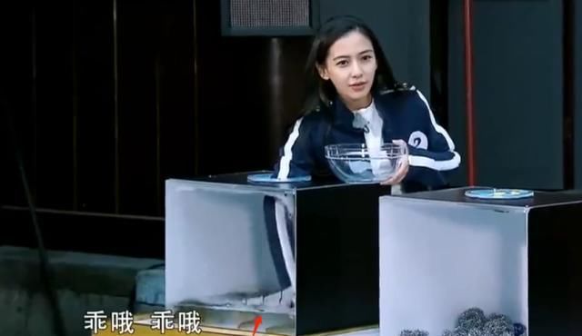  baby|Baby录制跑男手受伤，粉丝找她签名，她4字回应，网友：活该你红