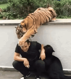 搞笑|搞笑GIF：有一种夏天吃雪糕的感觉,浑身发冷！