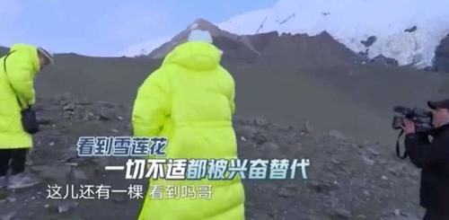  观众|刘宇宁之后，《极限挑战》节目组正式道歉，但还能挽回观众吗？