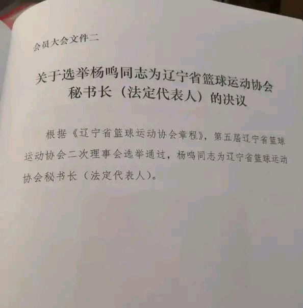 职位|一天三消息:梅奥已归队训练,杨鸣职位变动!李洪庆钦定大外援