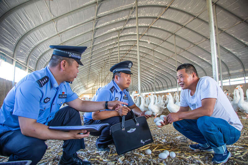 新疆伊犁：一线走访架起警民“连心桥”