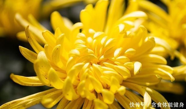 懒人|能储存,简单易做,万能搭配味道好,单身懒人的福音——万能蘸料