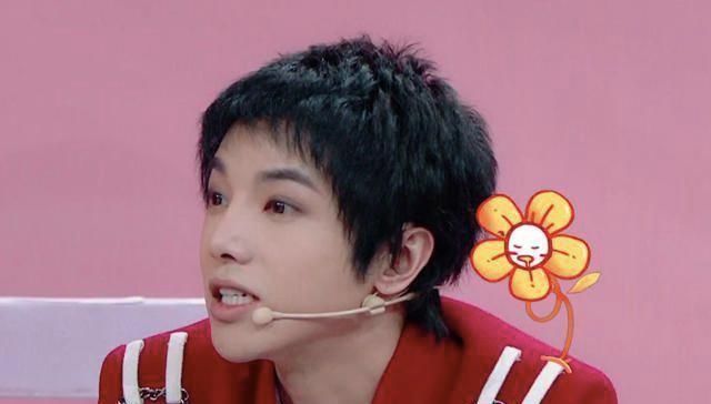 相继|沈腾、华晨宇、关晓彤、贾玲,人设相继崩塌,王牌家族搞事情