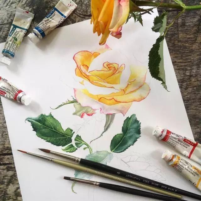  全职|一位全职妈妈喜欢疯狂画画，教你画水彩花卉