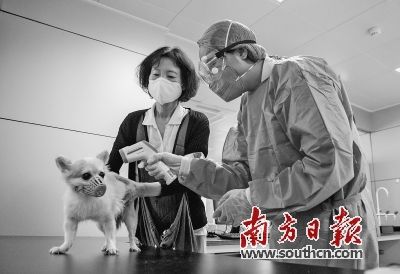 宠物|惠州海关办理首票 线上预约出境宠物检疫业务