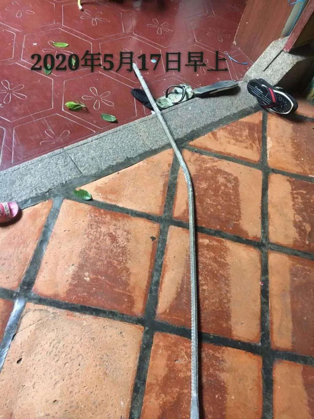  下山|潮汕某下山虎内，张小姐报警了