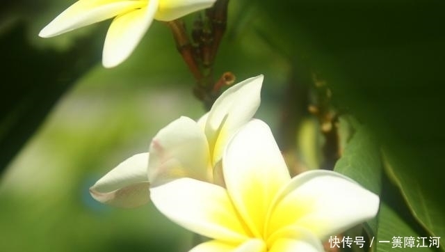  星座|十二星座的“记仇”期限是多久，那些不能得罪的人，你都清楚吗？