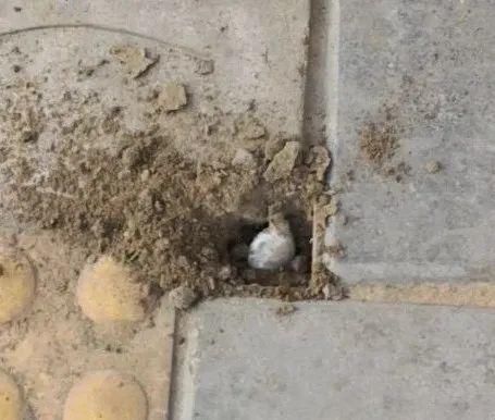 榆阳|榆阳公安连破5起毒品刑事案件，抓获9名涉毒人员！