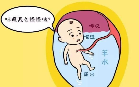 宝宝|宝宝没出生之前，每天在妈妈的肚子里做些什么？会经常做这7件事