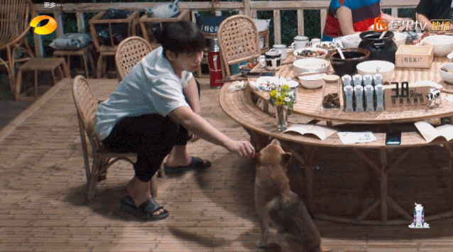  丹丹|四季过去了，它还是国内最治愈的慢综艺